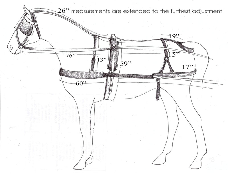 Showman Premium Mini Size Nylon Driving Harness Meant For Heavy Use