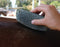 Showman Professional's Choice Tail Tamer Grooming Stone