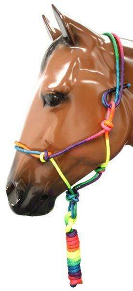Showman Rainbow Colored Cowboy Knot Halter