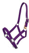 Showman Showman 3 Ply Nylon Breakaway Halter