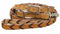Showman Showman 8' Argentina Cow Leather Braided Rein