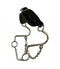 Showman Showman Adjustable Leather Nose Stainless Steel Hackamore