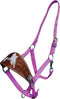 Showman Showman Adjustable Nose Nylon Bronc Halter With Barrel Racer