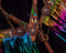 Showman Showman Hand Painted Feather Sunflower and Cactus Headstall Set