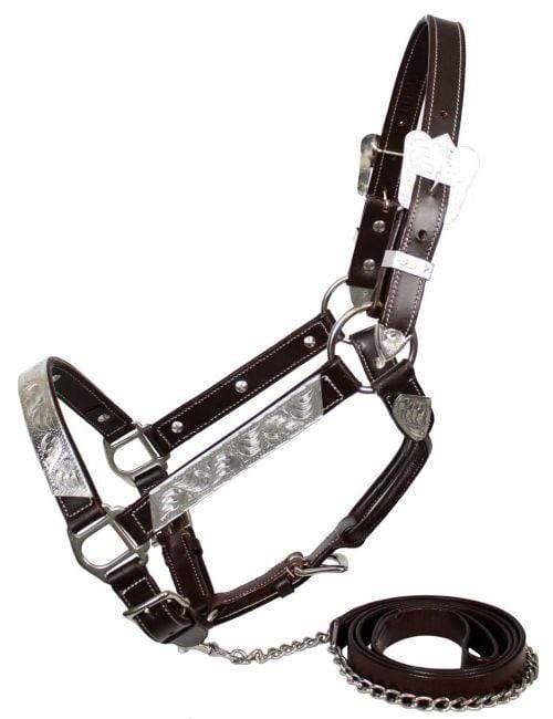 Showman Showman Horse Size Leather Silver Bar Show Halter