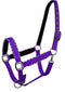 Showman Showman Horse Size Nylon Halter With Rope Border Design