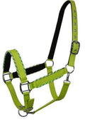 Showman Showman Horse Size Nylon Halter With Rope Border Design