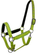 Showman Showman Horse Size Nylon Halter With Rope Border Design