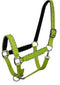 Showman Showman Horse Size Nylon Halter With Rope Border Design