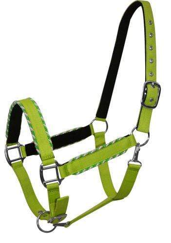 Showman Showman Horse Size Nylon Halter With Rope Border Design
