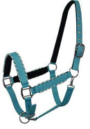 Showman Showman Horse Size Nylon Halter With Rope Border Design