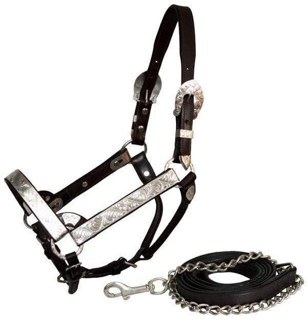 Showman Showman Horse Size Silver Engraved Show Halter