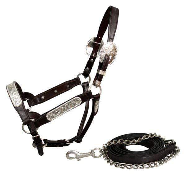 Showman Showman Leather Full Horse Size Silver Show Halter