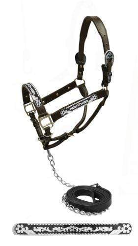 Showman Showman Leather Show Halter With Black Inlay Silver Plates