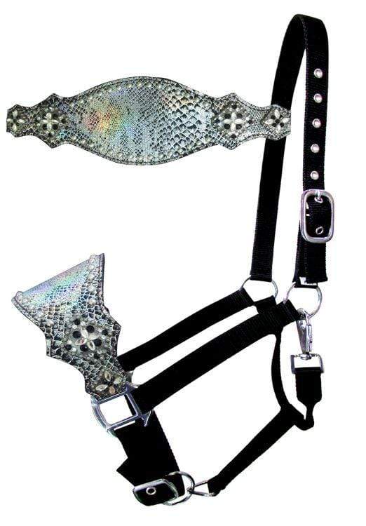 Showman Showman Nylon Bronc Halter with Snakeskin Overlay and Silver Bead Accent