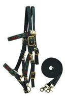 Showman Showman Nylon Halter Bridle Combo