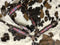 Showman Showman Pink Aztec Print Browband Headstall Set