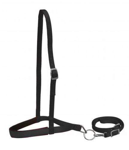 Showman Showman Pony Size Premium Nylon Tie Down