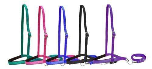 Showman Showman Pony Size Premium Nylon Tie Down