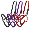 Showman Showman Premium Nylon Halter