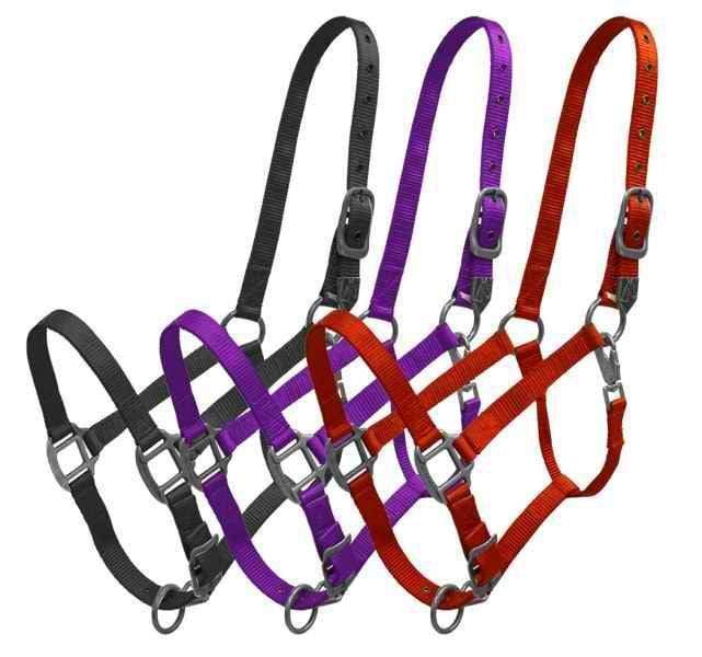 Showman Showman Premium Nylon Halter