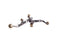 Showman Showman Youth Stainless Steel Twisted Band Spurs