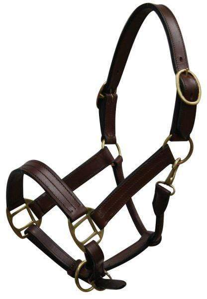 Showman Yearling Size Leather Halter