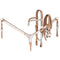 Tough-1 3 Piece Silver Show Set - Futurity Brow Headstall, Split Reins and Breastcollar with Silver Accents