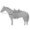 Tough-1 Leather Mule 4 Point Breastcollar