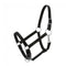 Tough-1 Royal King Draft Horse Stable Halter
