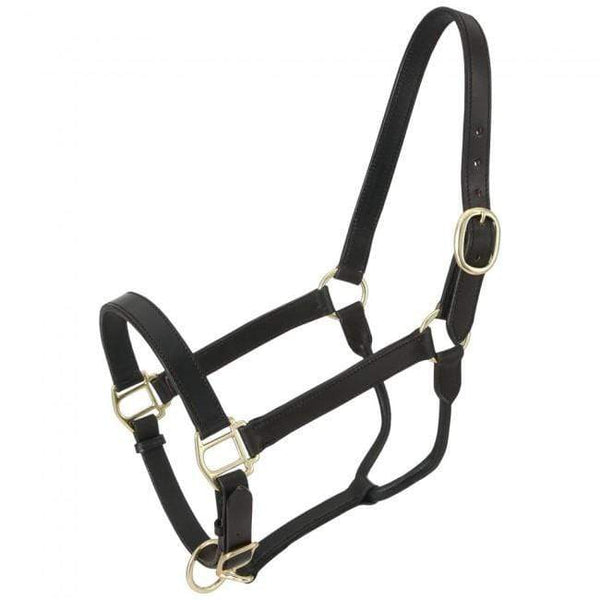 Tough-1 Royal King Leather Stable Halter