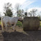 Tough-1 Tough 1 Deluxe 6ft x 6ft Round Bale Slow Feed Hay Net