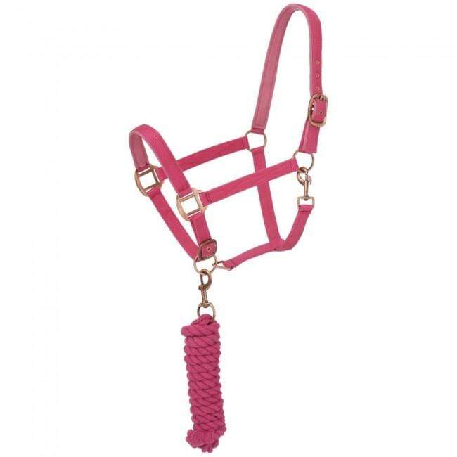 Tough-1 Tough-1 Neoprene Padded Halter with Antique Hardware Lead Set