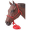 Tough-1 Tough-1 Poly Rope Halter W/ Knots & 14ft Lead