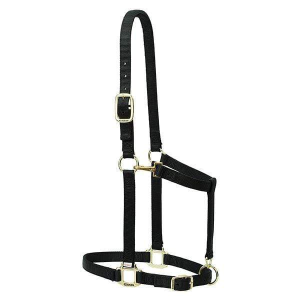 Weaver Weaver Average Draft Horse Nylon Adjustable Halter