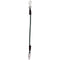 Weaver Weaver Bungee Trailer Tie