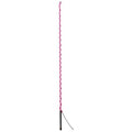 Weaver Weaver Lunge Whip with Rubber Handle and 11" Popper