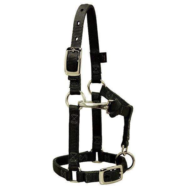 Weaver Weaver Nylon Average Mini Adjustable Halter