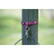Weaver Weaver Nylon Bucket Strap