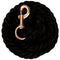 Weaver Weaver Solid Color Cotton Lead Rope with Solid Brass 225 Snap