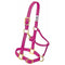 Weaver Weaver Weanling/Pony Original Adjustable Chin and Throat Snap Halter
