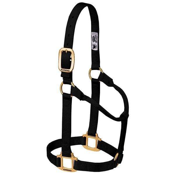 Weaver Weaver Weanling/Pony Original Non-Adjustable Halter